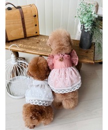 ペットウェア 犬服 ドッグウェア ワンピース」に該当するペットグッズ