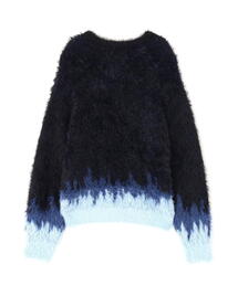 DANKE SCHON | DankeSchon/ダンケシェーン/NYLON SHAGGY CREWNECK SWITCH(ニット/セーター)