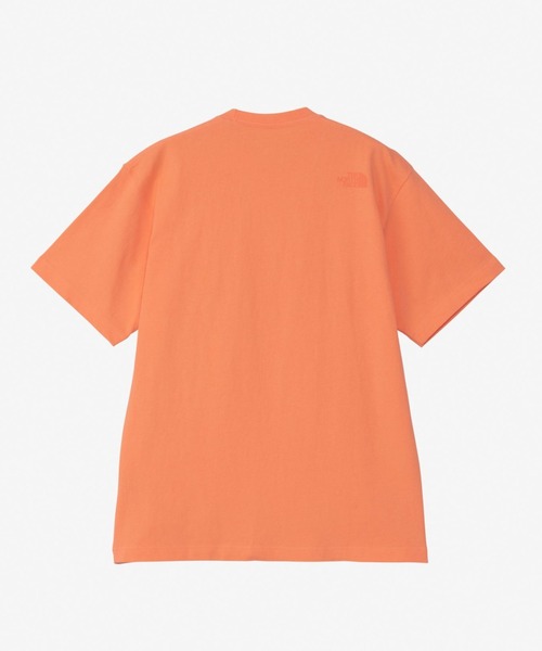 THE NORTH FACE/ザ・ノース・フェイス S/S DAY FLOW TEE/ショート