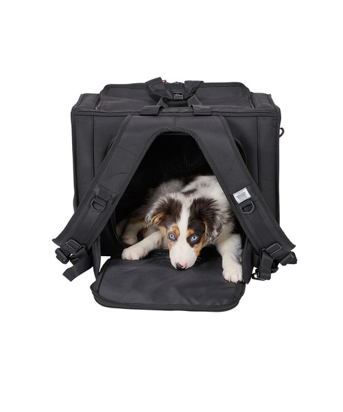 ブリクストンキャリーバックパック ワイド/M（ペット用キャリーケース