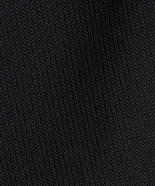 LACOSTE（ラコステ）の「＜LACOSTE for BEAUTY&YOUTH＞ワントーン ロゴ パンツ（その他パンツ・メンズ・ブラック/ダークグレー・S/M/L）」の17枚目の写真