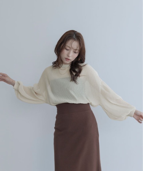 maviru（マヴィル）の「ランダム プリーツ シアー ボトルネック ブラウス シアートップス（シャツ/ブラウス・レディース・ピンクベージュ/ベージュ/グレー/ブラック・FREE）」の18枚目の写真