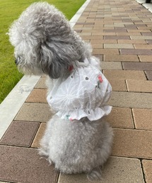 tone（トーン）の「【Ramune's closet】ころころポップコーンキャミ(お花刺繍)/犬服/ペット服/ドッグウェア(SU)（ペットウェア）」