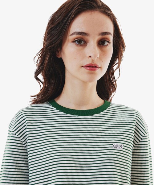 LACOSTE / ラコステ ワッフルボーダーTシャツ ワッフルボーダーTシャツ（Tシャツ/カットソー）｜LACOSTE