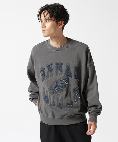 DANKE SCHON(ダンケシェーン)の「DankeSchon/ダンケシェーン/PIGMENT SWEAT CREWNECK LOGO(スウェット・レディース・グレー/ベージュ・L/M)」の1枚目の写真