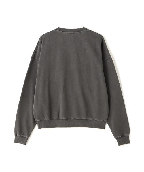 DANKE SCHON(ダンケシェーン)の「DankeSchon/ダンケシェーン/PIGMENT SWEAT CREWNECK LOGO(スウェット・レディース・グレー/ベージュ・L/M)」の5枚目の写真