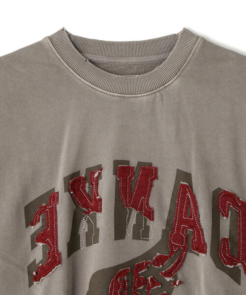 DANKE SCHON(ダンケシェーン)の「DankeSchon/ダンケシェーン/PIGMENT SWEAT CREWNECK LOGO(スウェット・レディース・グレー/ベージュ・L/M)」の10枚目の写真