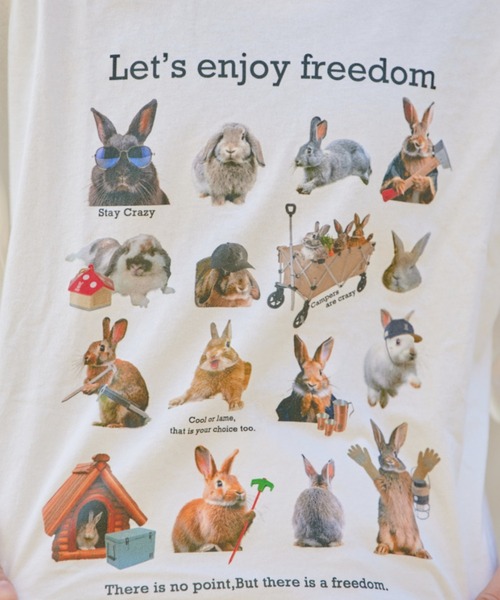 DOD(ディーオーディー)の「【DOD別注】ファミティー(Tシャツ/カットソー・レディース・ホワイト系その他/ホワイト・LARGE/MEDIUM)」の17枚目の写真