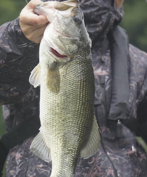 URBAN RESEARCH(アーバンリサーチ)の「『別注』ELECTRIC×LAKE SEEKERS FISHING 3L WIND BRAKER(ブルゾン・メンズ・カモフラージュ・X-LARGE/LARGE/MEDIUM)」の10枚目の写真