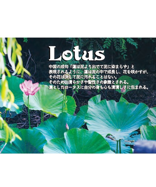 チャイハネ(チャイハネ)の「【チャイハネ】グラデーションロータス ガラスドロップピアス(ピアス(両耳用)・レディース・グリーン/ネイビー/オレンジ/パープル/ターコイズブルー/ホワイト/ダークグリーン/ブラック/ブルーグリーン・FREE)」の16枚目の写真