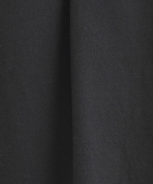 green label relaxing(グリーンレーベルリラクシング)の「チノ タック ワイド パンツ(チノパンツ・レディース・ベージュ/ダークグレー・38/36)」の17枚目の写真