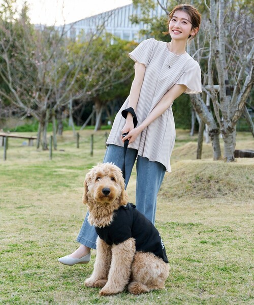 Tiaclasse(ティアクラッセ)の「【おのののかさん着用】TCデニム切替ワイドストレートパンツ(その他パンツ・レディース・ネイビー/サックスブルー・S/M/L)」の10枚目の写真