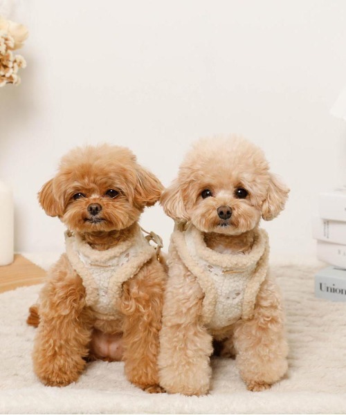 【新品未使用】moncheri ひつじさん柄ハーネス＋リードSET Sサイズ セール】ひつじさん柄ハーネス＋リードSET（リード/ハーネス