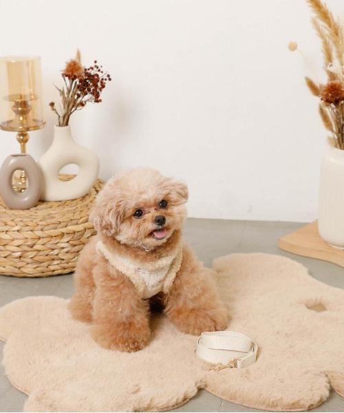 セール】ひつじさん柄ハーネス＋リードSET（リード/ハーネス