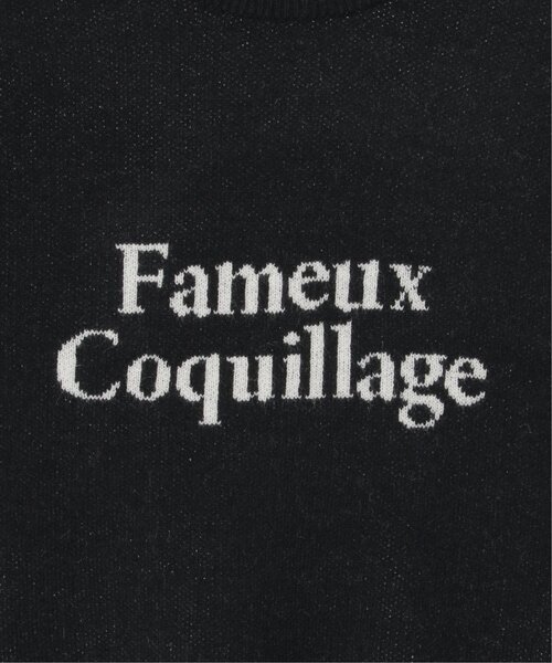 VENCEEXCHANGE（ヴァンスエクスチェンジ）の「Fameuxロゴジャガードニット（ニット/セーター・レディース・ベージュ/ブラック/ライトグレー/オフホワイト/グレー・FREE）」の9枚目の写真