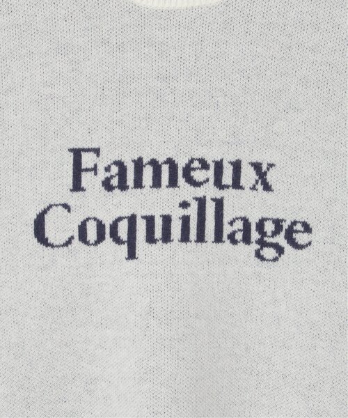 VENCEEXCHANGE（ヴァンスエクスチェンジ）の「Fameuxロゴジャガードニット（ニット/セーター・レディース・ベージュ/ブラック/ライトグレー/オフホワイト/グレー・FREE）」の11枚目の写真