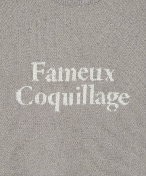 VENCEEXCHANGE（ヴァンスエクスチェンジ）の「Fameuxロゴジャガードニット（ニット/セーター・レディース・ベージュ/ブラック/ライトグレー/オフホワイト/グレー・FREE）」の12枚目の写真