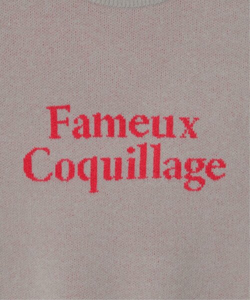 VENCEEXCHANGE（ヴァンスエクスチェンジ）の「Fameuxロゴジャガードニット（ニット/セーター・レディース・ベージュ/ブラック/ライトグレー/オフホワイト/グレー・FREE）」の13枚目の写真