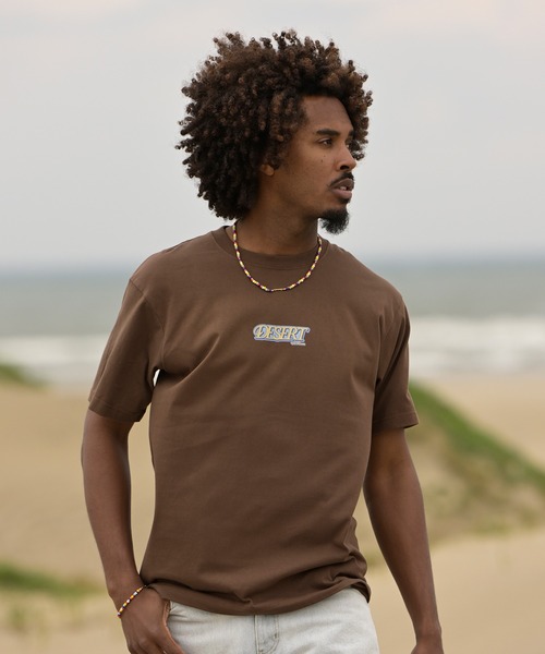 #Re:room（リルーム）の「デゼルトロゴプリントTシャツ（Tシャツ/カットソー・メンズ・ブラウン/オフホワイト/サックスブルー・M-L/S-M/L-XL）」の18枚目の写真