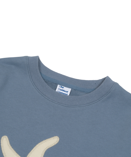 THECOLDESTMOMENT(ザコールデストモーメント)の「TCM starfish mtm (sky blue)(スウェット・レディース・その他・SMALL/MEDIUM/LARGE)」の4枚目の写真