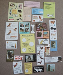 ammy.（エイミードット）の「【 ammy. / エイミードット 】 アソート デザイン フレーク ステッカー セット / コラージュ（ポスター/アート）」