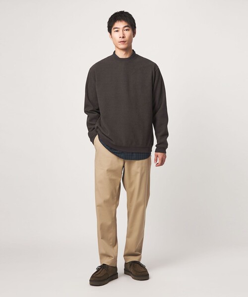 green label relaxing(グリーンレーベルリラクシング)の「モール ジャガード クルーネック 長袖 カットソー(Tシャツ/カットソー・メンズ・ダークブラウン/ライトグレー/ダークグレー/オリーブ・XL/L/M/S)」の16枚目の写真