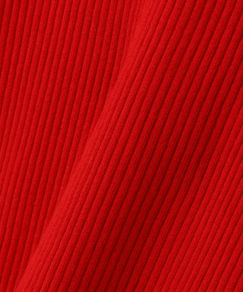 NATURAL BEAUTY BASIC（ナチュラルビューティーベーシック）の「フレアスリーブリブニット（ニット/セーター・レディース・ブラック/ホワイト系その他/レッド・MEDIUM）」の13枚目の写真