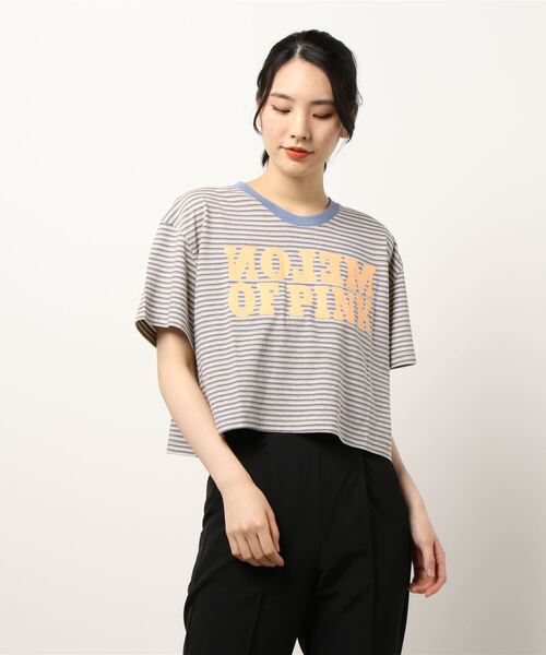 nitca（ニトカ）の「クスミボーダー　チビT（Tシャツ/カットソー・レディース・ブルー・FREE）」の8枚目の写真