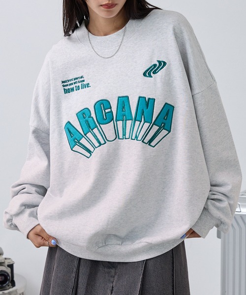 トレーナー スウェット 「CHICHI」PARAMUS MINNESOTA LOGO / パラマス ミネソタ アーチロゴ 配色刺繍 クルーネック スウ VIBGYOR トレーナー スウェット 「CHICHI」PARAMUS MINNESOTA