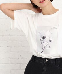 SHOO・LA・RUE | 【S-L】線画フォトプリントTシャツ(Tシャツ/カットソー)