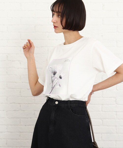 SHOO・LA・RUE（シューラルー）の「◆【プチプラ/洗える/S-L】線画フォトプリントTシャツ（Tシャツ/カットソー・レディース・ホワイト系/ベビーピンク・01/02/03）」の3枚目の写真