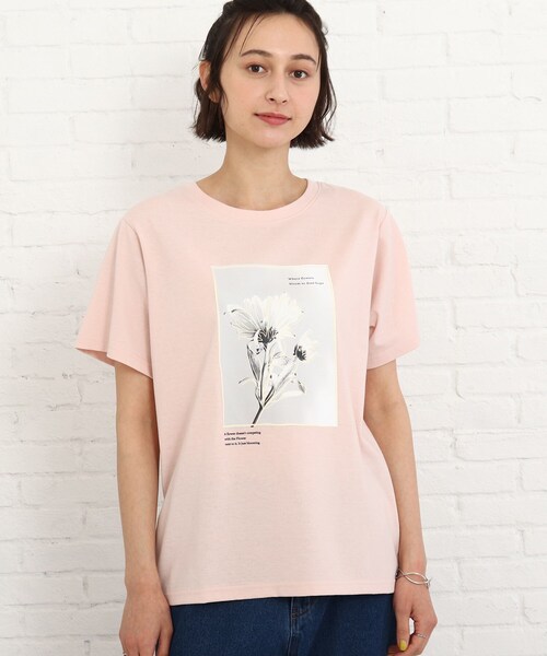 SHOO・LA・RUE（シューラルー）の「◆【プチプラ/洗える/S-L】線画フォトプリントTシャツ（Tシャツ/カットソー・レディース・ホワイト系/ベビーピンク・01/02/03）」の4枚目の写真