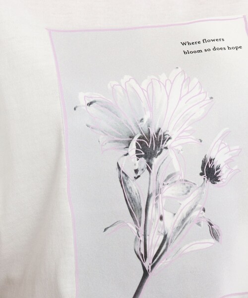 SHOO・LA・RUE（シューラルー）の「◆【プチプラ/洗える/S-L】線画フォトプリントTシャツ（Tシャツ/カットソー・レディース・ホワイト系/ベビーピンク・01/02/03）」の10枚目の写真