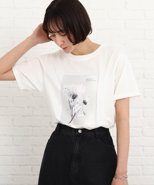 SHOO・LA・RUE（シューラルー）の「◆【プチプラ/洗える/S-L】線画フォトプリントTシャツ（Tシャツ/カットソー・レディース・ホワイト系/ベビーピンク・01/02/03）」の11枚目の写真