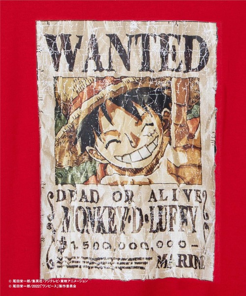 EXIEEE（イグジー）の「WANTED Tシャツ（Tシャツ/カットソー・レディース・ブラック/オレンジ/レッド/グリーン/イエロー・MEDIUM/SMALL/LARGE）」の11枚目の写真
