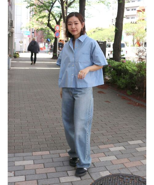 Ungrid（アングリッド）の「ハーフスリーブエンブロイダリーシャツ（シャツ/ブラウス・レディース・ブラック/スカイブルー/ブルー・FREE）」の10枚目の写真