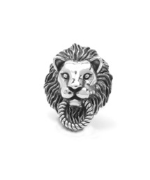 LION HEART | LH BASIC スタッズピアス/マスター/シルバー925(ピアス（片耳用）)