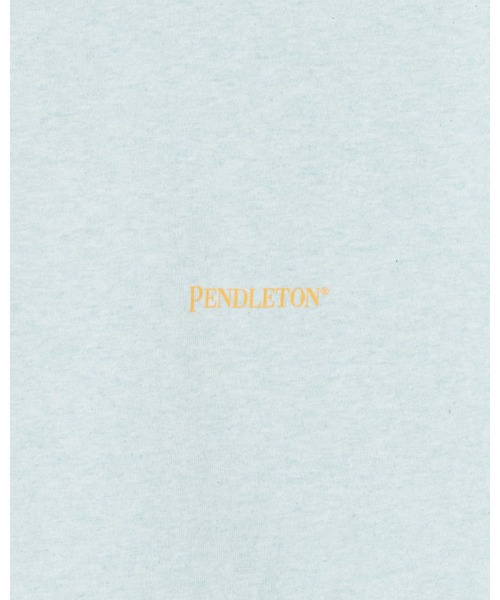PENDLETON（ペンドルトン）の「バックプリントLS ティ（UNISEX)（Tシャツ/カットソー・メンズ・ピンク/ホワイト系その他2/ブラック系その他2・X-LARGE/LARGE/MEDIUM/SMALL）」の12枚目の写真