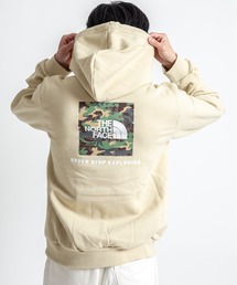 【THE NORTH FACE/ザ・ノースフェイス】プルオーバー バックプリント パーカー 裏起毛