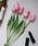 Port�i�|�[�g�j�́u�ӂ��� �`���[���b�v 5�{�Z�b�g / ���� / �؍����C���e���A�i�C���e���A�G�݁j�v�b�s���N