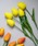 Port�i�|�[�g�j�́u�ӂ��� �`���[���b�v 5�{�Z�b�g / ���� / �؍����C���e���A�i�C���e���A�G�݁j�v�b�C�G���[