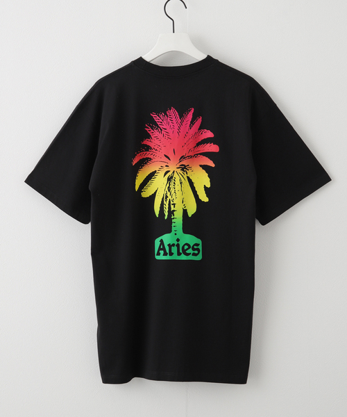 セール】【ARIES / アリーズ】PALM SS TEE（Tシャツ/カットソー