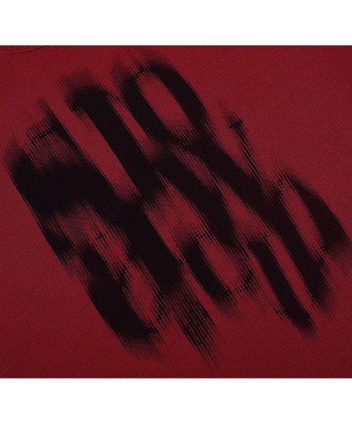 【セール】【UNISEX】SLOW ACID／BLURRYLOGOプルオーバー（ウラケ） 2978905（スウェット）｜SLOWACID（スローアシッド）