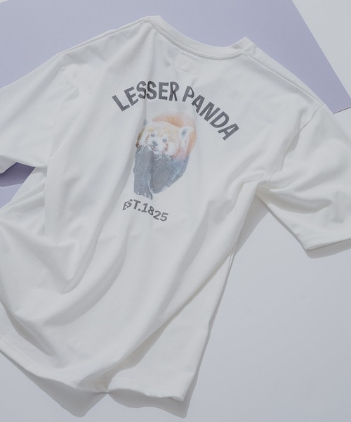 CORISCO(コリスコ)の「【CORISCO/コリスコ】アニマルフォトプリントTシャツ(Tシャツ/カットソー・メンズ・ホワイト系その他/ホワイト系その他2/ホワイト系その他3/ホワイト系その他4/ホワイト系その他5/ホワイト系その他6/ホワイト系その他7/ホワイト系/ホワイト系1/ホワイト系2・X-LARGE/MEDIUM/LARGE)」の5枚目の写真