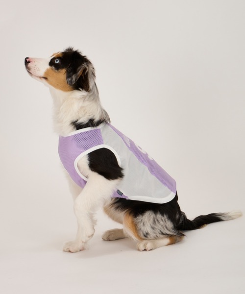 MANDARINE BROTHERS（マンダリンブラザーズ）の「クールプレイヤータンク/小型犬･中型犬/XL/XXL（ペットウェア・レディース・ラベンダー/グレー・XL/XXL）」の4枚目の写真