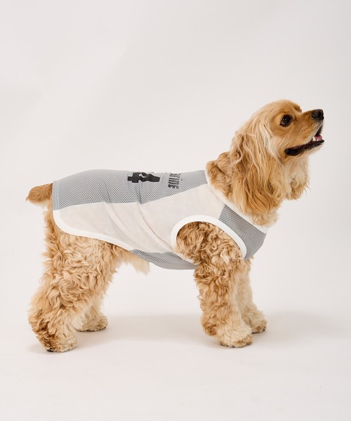 MANDARINE BROTHERS（マンダリンブラザーズ）の「クールプレイヤータンク/小型犬･中型犬/XL/XXL（ペットウェア・レディース・ラベンダー/グレー・XL/XXL）」の3枚目の写真