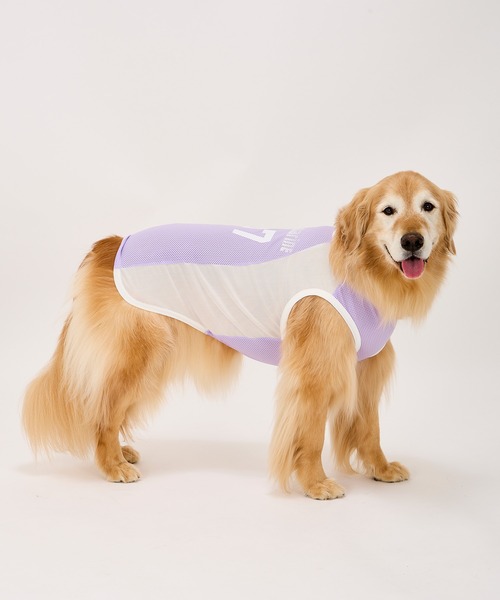 MANDARINE BROTHERS（マンダリンブラザーズ）の「クールプレイヤータンク/小型犬･中型犬/XL/XXL（ペットウェア・レディース・ラベンダー/グレー・XL/XXL）」の7枚目の写真