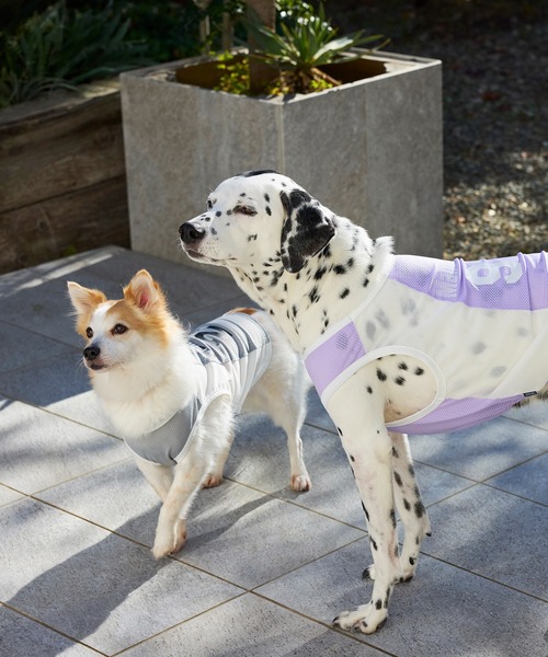 MANDARINE BROTHERS（マンダリンブラザーズ）の「クールプレイヤータンク/小型犬･中型犬/XL/XXL（ペットウェア・レディース・ラベンダー/グレー・XL/XXL）」の8枚目の写真