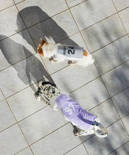 MANDARINE BROTHERS（マンダリンブラザーズ）の「クールプレイヤータンク/小型犬･中型犬/XL/XXL（ペットウェア・レディース・ラベンダー/グレー・XL/XXL）」の9枚目の写真