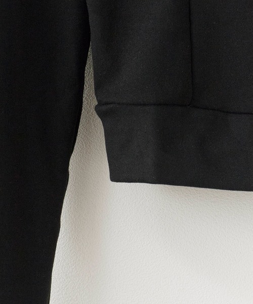 Chick（チック）の「High neck zip-up tops / ハイネックジップアップ トップス（Tシャツ/カットソー・レディース・チャコール/アイボリー/ブラック・FREE）」の10枚目の写真
